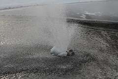 205: DonManfria_2025-322