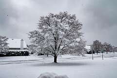 50: MarkShelly_2025-273