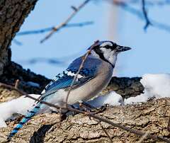 86: MarkShelly_2025-282