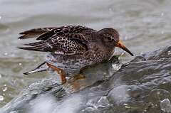 270: MarkShelly_2025-288