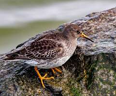 232: MarkShelly_2025-289