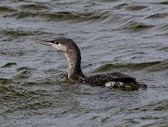 41: MarkShelly_2025-290