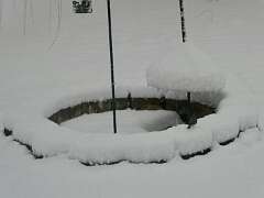 146: MikeGlass_2025-61