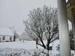 63: MikeGlass_2025-62