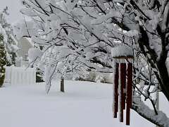 280: MikeGlass_2025-68