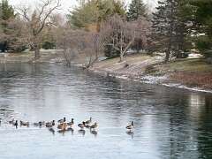 40: MikeGlass_2025-73