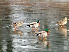 28: MikeGlass_2025-74