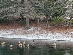 42: MikeGlass_2025-75