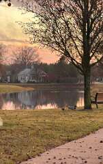 96: MonicaIppolito_2025-1