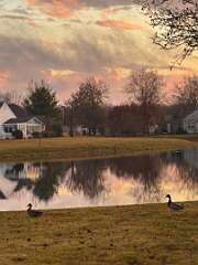 120: MonicaIppolito_2025-3