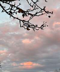 5: MonicaIppolito_2025-6