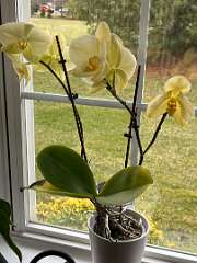 302: TomGeorgio_2025-10