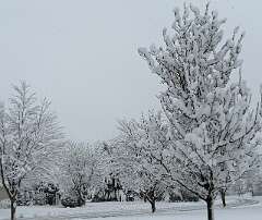 75: jenCurcione_2025-69