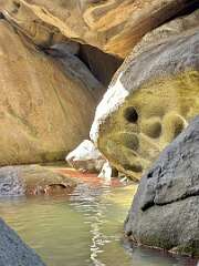 47: wendyTao_2025-105