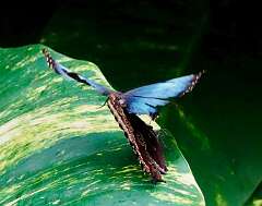 252: wendyTao_2025-64