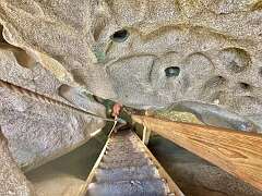 26: wendyTao_2025-92