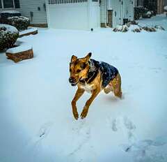 26: AlanToplitz_2026-11