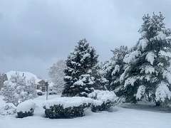 256: AnnaSheldon_2025-8