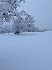 258: BerniceBailine_2025-52