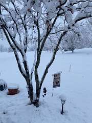 259: BerniceBailine_2025-53