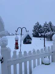 261: BerniceBailine_2025-55