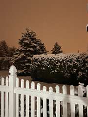 262: BerniceBailine_2025-56