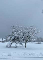 270: BerniceBailine_2025-64