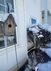 272: BerniceBailine_2025-66