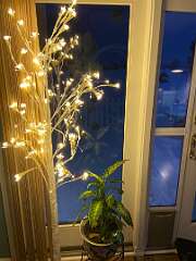 170: BerniceBaline_2026-11