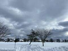 107: BerniceBaline_2026-24