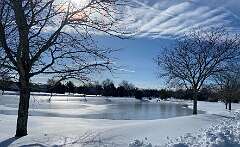 179: BerniceBaline_2026-32