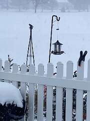 188: BerniceBaline_2026-8