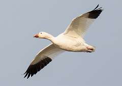 281: BillKirms_2025-346