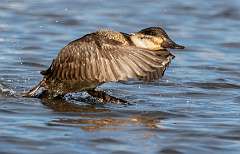 286: BillKirms_2025-351