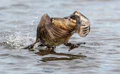 287: BillKirms_2025-352