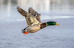 290: BillKirms_2025-355