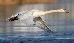 292: BillKirms_2025-357