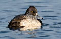 293: BillKirms_2025-358