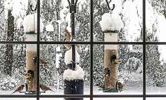 3: BillKirms_2025-362