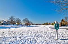 6: BillKirms_2025-365