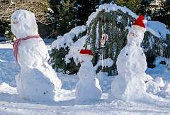 12: BillKirms_2025-371