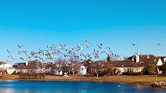 19: BillKirms_2025-378