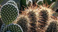 80: BillKirms_2026-27