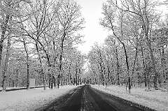 23: BillKirms_2026-63