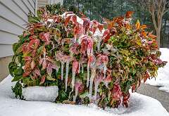 206: BillKirms_2026-72