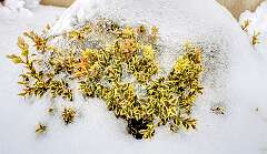 13: BillKirms_2026-73