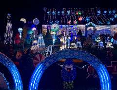 28: CarolAnnManfria_2025-56