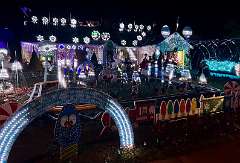 29: CarolAnnManfria_2025-57