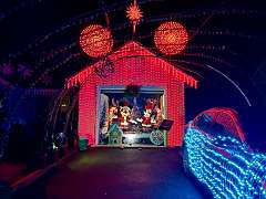 30: CarolAnnManfria_2025-58