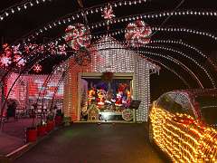 31: CarolAnnManfria_2025-59